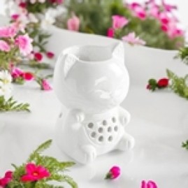 Brule parfum Tonny (chat)