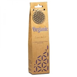 Cones Organic Lavande