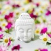 Diffuseur Huile tete bouddha blanc