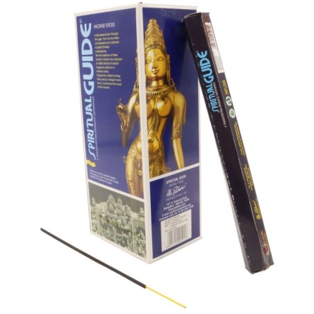 Encens padmini spiritual guide hexa 20 Bts