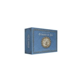 Le Petit Oracle du Grimoire des Fees