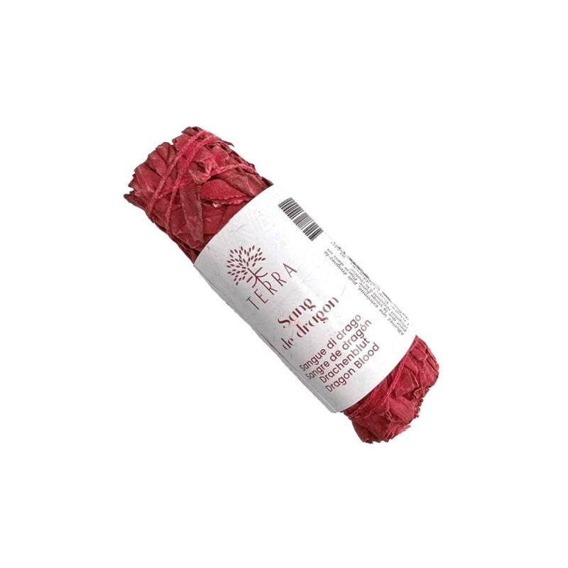 SAUGE SANG DE DRAGON