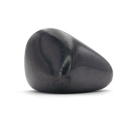 Pierre Roulee Shungite